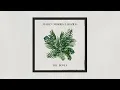 Maren Morris, Hozier - The Bones (Official Audio)
