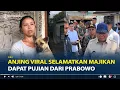 Download Lagu Kisah Moka, Anjing Viral Selamatkan Majikan Saat Banjir Bali, Dapat Pujian dari Prabowo