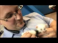 VIP PetCare Southeast Smiling Faces 2018