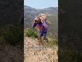 Download Lagu “Hard Life in the Hills 💪 | Carrying Ginger Down the Mountain”