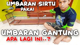 Download Kandang umbaran gantung ‼️apa fungsi nya kandang umbaran‼️ Bang Mamung SCK Sadulur Cipoh Karawang MP3