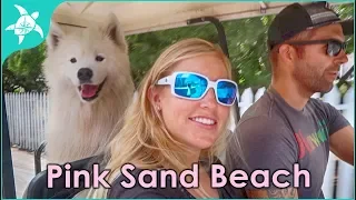 Probably a dumb idea.. Pink Sand Beach by dinghy