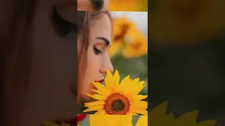 موسيقى مسلسل اسميتها فريحة 