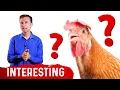 Why Don t Chickens that Eat Ticks Get Lyme Disease
