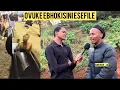 Download Lagu Owavuka eBhokisini lomngcwabo uthi ubesebenzela iQembu “Iphoiyinti leli”