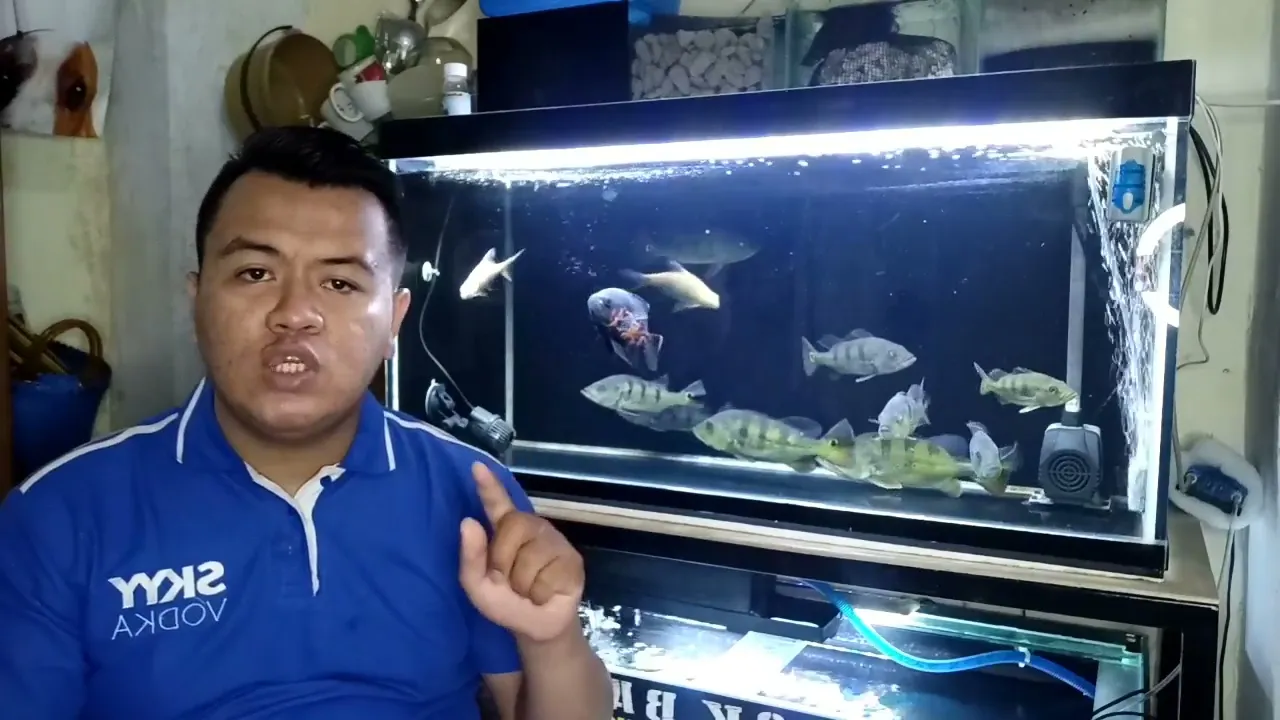 CARA MENAMBAL AQUARIUM RETAK ATAU PECAH