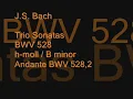 J.S. Bach - BWV 528 (2) - Sonata IV - Andante h-moll / B minor