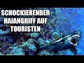 Lagu SCHRECKLICHE TRAGÖDIE AN EINEM BELIEBTEN URLAUBSORT! NEUER HAIEANGRIFF AUF TOURISTEN IN ÄGYPTEN