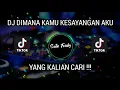 Download Lagu DJ DIMANA KAMU KESAYANGANYA AKU BY SAHRUL CKN VIRAL TIK TOK TERBARU 2022 YANG KALIAN CARI !