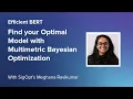 Efficient BERT Full Talk Find your Optimal Model with Multimetric Bayesian Optimization