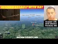 Assault With Bat Charge