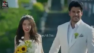 جوزيف عطية الليلة رايحين على بيتنا حالات واتساب روعة 