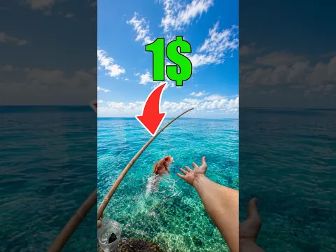 Caña de PESCAR de 1$ Sobrevivo pescando #playa #peces