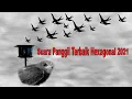 Download Lagu Suara Panggil/Tarik Terbaik Walet Hexagonal