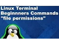 Linux Terminal for Beginners Commands 13 File Permissions