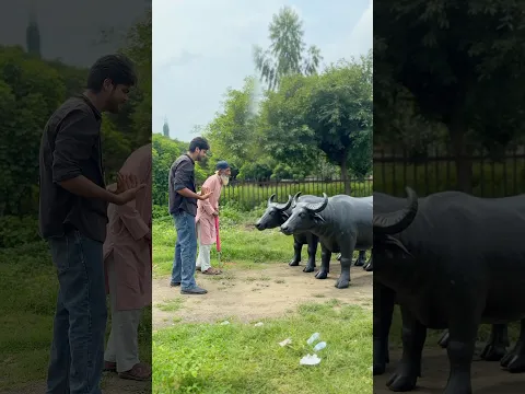 Balloon Se Bnay Bhainsy 😨| #shortvideo #trending #motivation #comedy