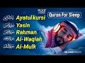 Download Lagu Beautiful Quran Before Sleep | Al-Fatiha,Ayatul Kursi,Surah Ar-Rahman, Al-Mulk, Yasin - By Alaa Aqel