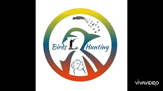 صوت جديد 2025 سمن وشحرون 