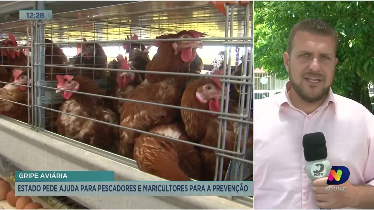 Estado alerta pescadores e maricultores sobre a prevenção da gripe aviária