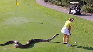 FALLOS EN EL GOLF | IDIOTAS EN EL "GREEN" ⛳️😂