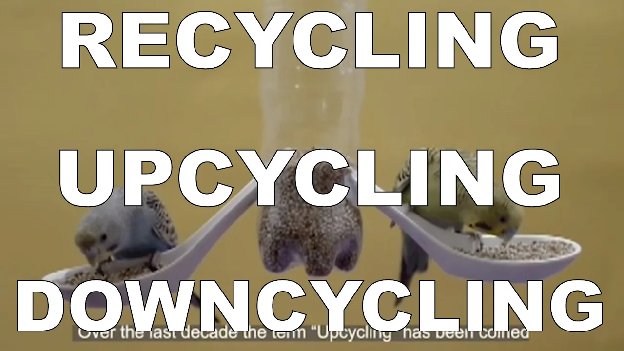 Recycling vs Upcycling vs Downcycling