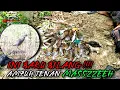 Download Lagu WAJIB DICOBA ❗INI BARU SUARA PIKAT SINTAR MANTAP