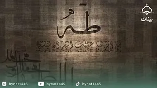 سورة طه بصوت هادئ وخشوع رائع للشيخ ناصر القطامي   دندنها