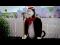 Dirty Hoe I m Sorry Baby I Love You - Cat In The Hat