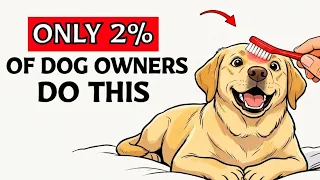 7 Things Dogs Love and Only 2% of Owners Actually Do