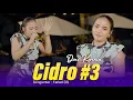 Download Lagu Dini Kurnia - Cidro #3 [Official Live Music Video]