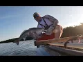 Daiwa BG MQ review tested on a Big redfish