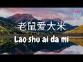 Download Lagu 老鼠爱大米 Lao Shu Ai Da Mi - Mouse Love Rice - 香香 Xiang xiang 動態歌詞 Lyric Videos