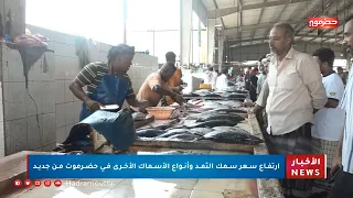 إرتفاع سعر الثمد وأنواع السمك الأخرى في حضرموت من جديد 
