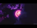 Sheck Wes - Mo Bamba (Slowed + Reverb)