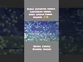 suara gemuruh takbir suporter timnas || buat semua takjub  #shorts  #2022