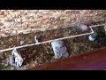 The Water At 88 Buffet