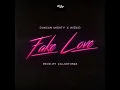 Fake Love (feat. Duncan Mighty & WizKid) - StarBoy
