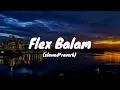 Flex Balam - Yo Yo Honey Singh (slowed+reverb)