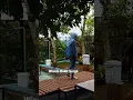 Download Lagu Wisata Bukit Surga - Kabupaten Nganjuk Jawa Timur