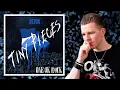 Download Lagu WHO BROKE HIS HEART? 💔 ONE OK ROCK - Tiny Pieces (REACTION)
