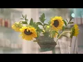 Seaflora Skincare Detox Nourish Vichy Treatment at Rosewater Spa in Oakville ON