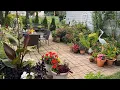Backyard Patio Garden Tour