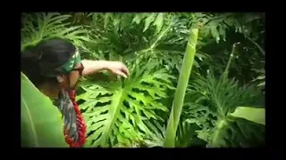 Sj Leota Ft Kakala Le Malurana  Sj Leota Ft Kakala Le Malurana