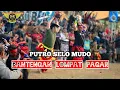 Download Lagu bantengan lompat pagar PUTRO SELO MUDO