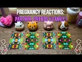 Lagu How Others Will React To Your Pregnancy! 🥰  Tarot / Baby Pick a Card 🥰