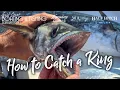 Catching King Mackerel in the Destin area