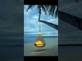 Download Lagu which one would you choose? (Ark patrol - let go) #shorts #relaxing #live