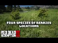 Pick and Eat 4 Species of Berry Location Guide in Red Dead Redemption 2 Herbalist 2 Challenge