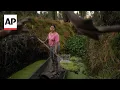 Women in Mexico protect ancient Aztec farms and save a vanishing ecosystem