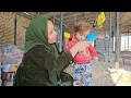 Omran and Fereshteh’s efforts to clean the house—from washing the carpets to building  dream home!